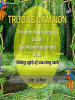 Những nghệ sỹ của rừng xanh   có âm thanh