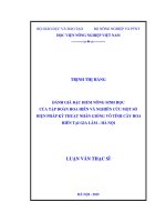 đánh giá đặc điểm nông sinh học của tập đoàn hoa hiên và nghiên cứu một số biện pháp kỹ thuật nhân giống vô tính cây hoa hiên tại gia lâm – hà nội
