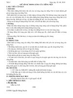 GIỮ GÌN SỰ TRONG SÁNG CỦA TIẾNG VIỆT