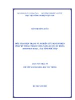 điều tra hiện trạng và nghiên cứu một số biện pháp kỹ thuật nhằm tăng năng suất cây hồng (diospyros kaki l.) tại tỉnh phú thọ