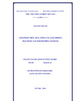 giải pháp thúc đẩy công tác giải phóng mặt bằng tại thành phố cao bằng
