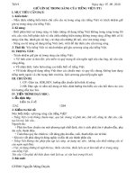 GIỮ GÌN SỰ TRONG SÁNG CỦA TIẾNG VIỆT (TT)