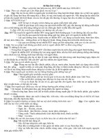 CÂU HỎI THI MA TÚY 2010   2011