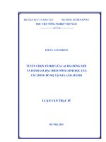 tuyển chọn tổ hợp lúa lai hai dòng mới và đánh giá đặc điểm nông sinh học của các dòng bố mẹ tại gia lâm, hànội