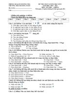 Đề kiểm tra HK 2 Tin 6 ( 2010  2011)