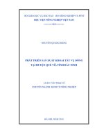 phát triển sản xuất khoai tây vụ đông tại huyện quế võ, tỉnh bắc ninh