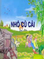 Nhổ củ cải