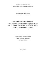 phân tích rủi ro tín dụng của ngân hàng thương mại cổ phần phát triển nhà đồng bằng sông cửu long chi nhánh cần thơ