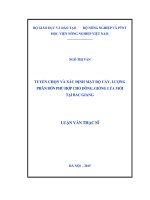 tuyển chọn và xác định mật độ cấy, lượng phân bón phù hợp cho dòng, giống lúa mới tại bắc giang