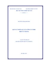 quản lý nhân lực của công ty tnhh điện tử tesung