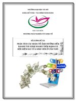 Phân tích các nhân tố ảnh hưởng đến doanh thu kinh doanh trên mạng xã hội hiện nay của sinh viên ở cần thơ 