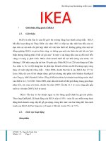 Phân tích marketing chiến lược tại tập đoàn IKEA 