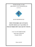 phân tích hiệu quả sử dụng nguồn nhân lực tại công ty trách nhiệm hữu hạn quyết thắng