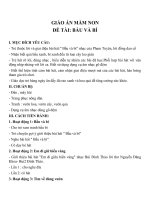 Giáo án đề tài bầu và bí (lớp lá) 