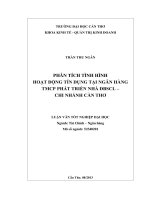 phân tích tình hình hoạt động tín dụng tại ngân hàng tmcp phát triển nhà đbscl – chi nhánh cần thơ