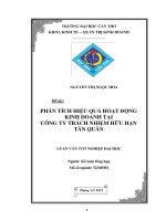 phân tích hiệu quả hoạt động kinh doanh tại công ty trách nhiệm hữu hạn tân quân