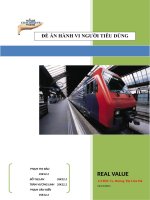 nghiên cứu hành vi mua thẻ giảm giá online (voucher) của người tiều dùng đà nẵng 