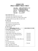 giao an phat trien nhan thuc