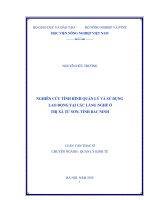 nghiên cứu tình hình quản lý và sử dụng lao động tại các làng nghề ở thị xã từ sơn, tỉnh bắc nin