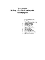 Đề tài kinh tế lượng những yếu tố ảnh hưởng đến sản lượng lúa