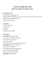 Giáo án đề tài trái cây ngày tết (khối nhà trẻ) 