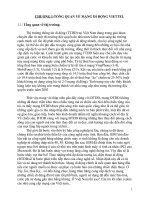 Nghiên cứu hành vi khách hàng trong việc sử dụng mạng viettel