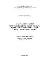luận văn tốt nghiệp phân tích tình hình rủi ro tín dụng tại ngân hàng tmcp xuất nhập khẩu chi nhánh cần thơ