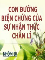 Con đường biện chứng của nhận thức