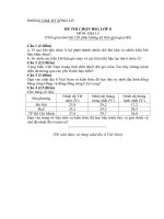 Đề thi HSG lớp 8 huyện Sông Lô