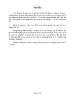 Tiểu luận Lạm phát Việt Nam