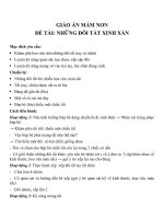 Giáo án đề tài những đôi tất xinh xắn (chương trình đổi mới) 
