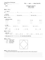 BÀI THI CUỐI NĂM MÔN TOÁN VÀ TIẾNG VIỆT LỚP 1