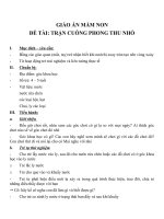 Giáo án đề tài trận cuồng phong thu nhỏ (chương trình đổi mới) 