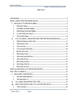 Chiến lược marketing mix cho sản phẩm ba lô đệm nước có hạt matxa 