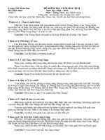 De kiem tra cuoi HK2 mon Tieng Viet