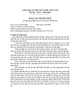 thành tích đội viên 2011