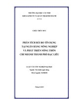 phân tích rủi ro tín dụng tại ngân hàng nông nghiệp và phát triển nông thôn chi nhánh thành phố bạc liêu