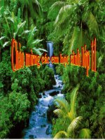 Tiết 1 sự hấp thụ nước và muối khoáng ở rễ. sinh 11