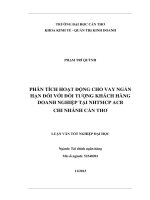 phân tích hoạt động cho vay ngắn hạn đối với đối tượng khách hàng doanh nghiệp tại nhtmcp acb chi nhánh cần thơ
