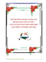 CHUYÊN ĐỀ GIÁO DỤC  ĐÀO TẠO BỘ BÀI SOẠN GIÁO ÁN MẪU TUẦN 5 CÓ KĨ NĂNG SỐNG MỚI NHẤT DẠY KHỐI 4 NĂM HỌC 20152016.