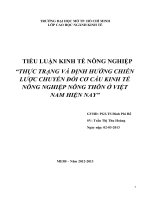 thực trạng và định hướng chiến lược chyển đổi cơ cấu kinh tế nông nghiệp nông thôn ở Việt Nam