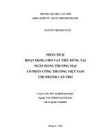 phân tích hoạt động cho vay tiêu dùng tại ngân hàng thương mại cổ phần công thương việt nam chi nhánh cần thơ
