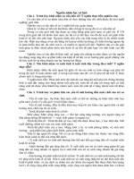 Hệ thống câu hỏi chuyên ngành quản lý nhân sự