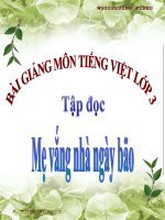 Bài giảng tiếng việt 3 tuần 4 bài tập đọc   mẹ vắng nhà ngày bão 