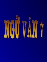 ÔN TẬP VĂN BIỂU CẢM