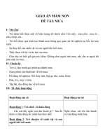 Giáo án đề tài Mưa (Chương trình đổi mới)