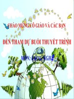 ngoai khoa moi truong