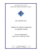 nghiên cứu trích ly protease từ thịt đầu tôm sú