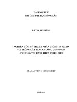 Nghiên cứu kỹ thuật nhân giống in vitro cây hoa chuông (sinningia speciosa) tại tỉnh thừa thiên huế 