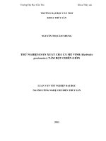 thử nghiệm sản xuất chả cá mè vinh (barbodes gonionotus) tẩm bột chiên giòn